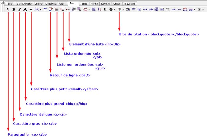 Dtail de l'onglet text