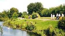 Saint-Quentin : les marais de l tang d Isle