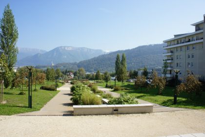 Les ormes