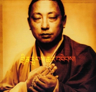 Lama Gyurme : Rain of blessing