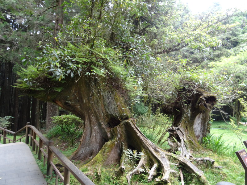 taiwan