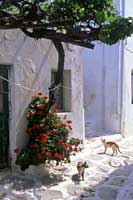 Paros, Cyclades