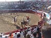 Corrida portugaise