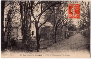 L'allée de tilleuls du Parc du Château