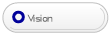 Vision