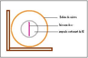 bobine