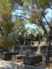 Dscn3843