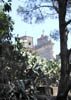 Dscn3844