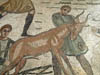 transport_animaux
