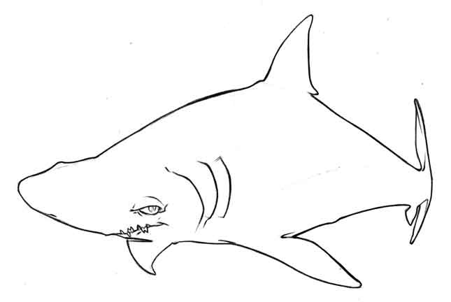 http://perso.numericable.fr/designed/gfx/LINrequin01.jpg