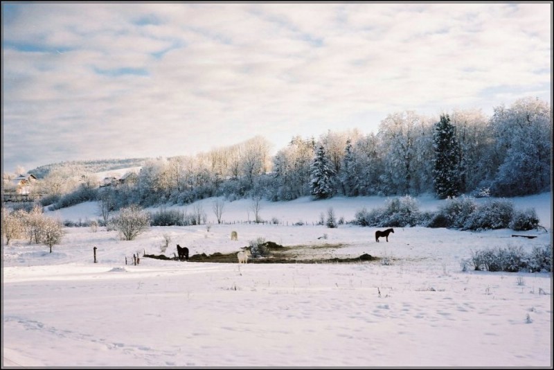jura04.jpg
