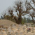 joal_cimetiere_mixte