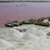 lac_rose2