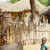 village_brousse