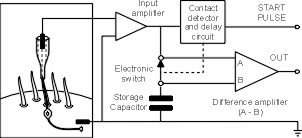 tasteProbe0.jpg (21162 bytes)