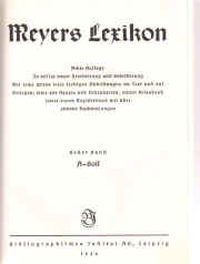 Meyers Lerikon~ un a.jpg (29350 octets)