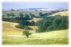 Paysage du Lauragais