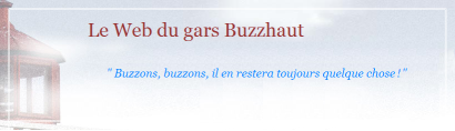 blog logo buzzhaut