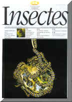 Sur internet : www.insectes.org