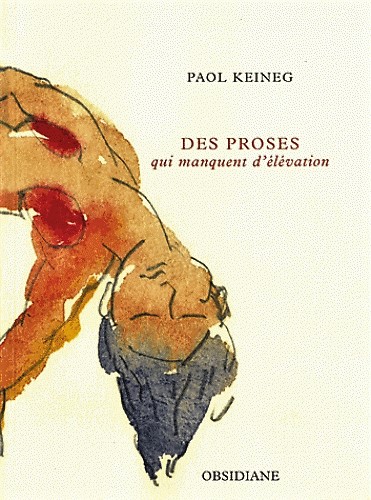 "DES PROSES qui manquent d'lvation" de Paol Keineg