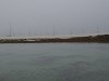 Mare basse  Saint-Nicolas