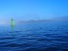 Le brouillard se lve sur les Cochons