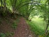 Chemin dans la campagne