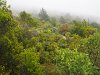 Monte dans la brume vers Peyrepertuse