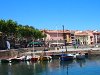 Barques traditionnelles dans le port de Collioure sous le soleil.