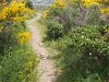 Chemin vers Port de la Selva