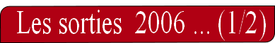 wp3206f4b3.png