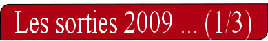 wp3606f967.png