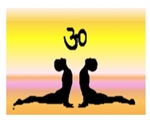 pratique hatha yoga raja yoga etc