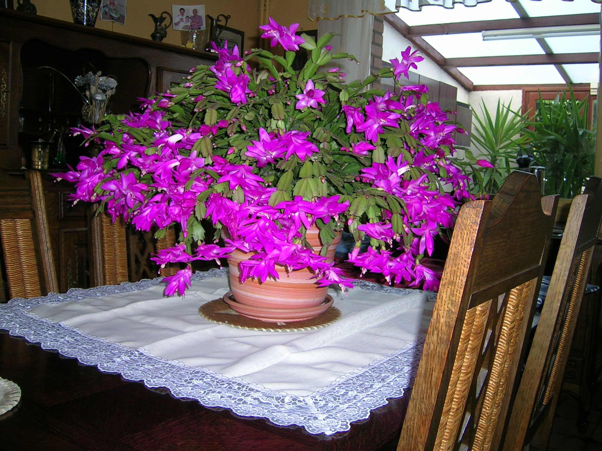 Photo 4