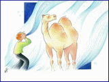 illustration pome de Jim Bouchet : Naturellement - page 4
