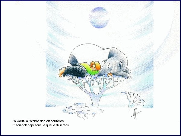 illustration d'un pome de Jim Bouchet : Naturellement