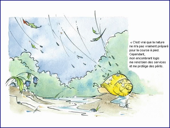 illustration d'un texte de Michel Bouchet : Un matin d't au potager