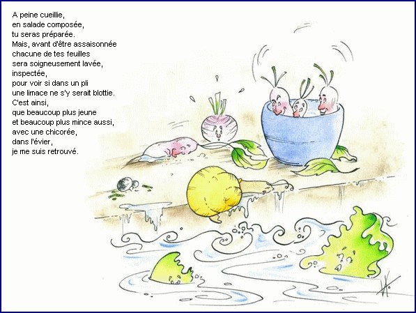 illustration d'un texte de Michel Bouchet : Un matin d't au potager