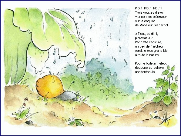 illustration d'un texte de Michel Bouchet : Un matin d't au potager