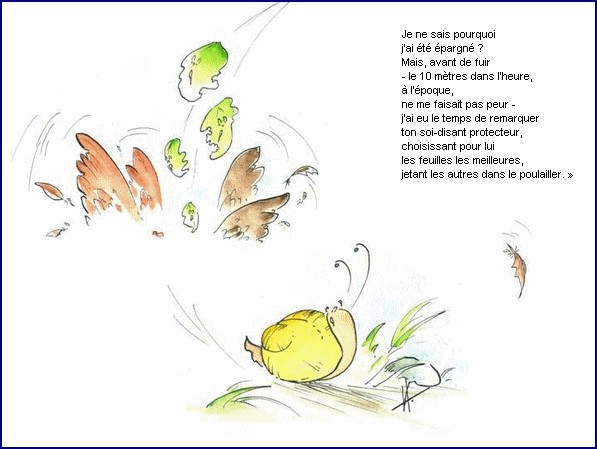 illustration d'un texte de Michel Bouchet : Un matin d't au potager