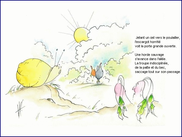 illustration d'un texte de Michel Bouchet : Un matin d't au potager