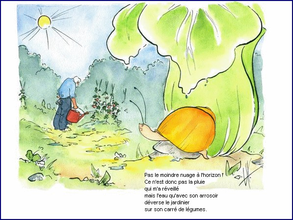 illustration d'un texte de Michel Bouchet : Un matin d't au potager
