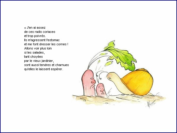 illustration d'un texte de Michel Bouchet : Un matin d't au potager