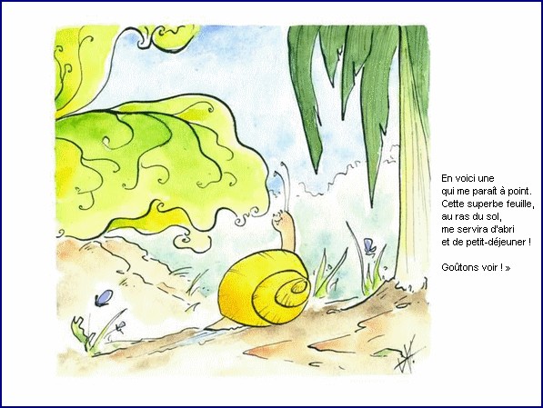 illustration d'un texte de Michel Bouchet : Un matin d't au potager