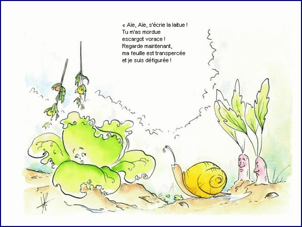 illustration d'un texte de Michel Bouchet : Un matin d't au potager