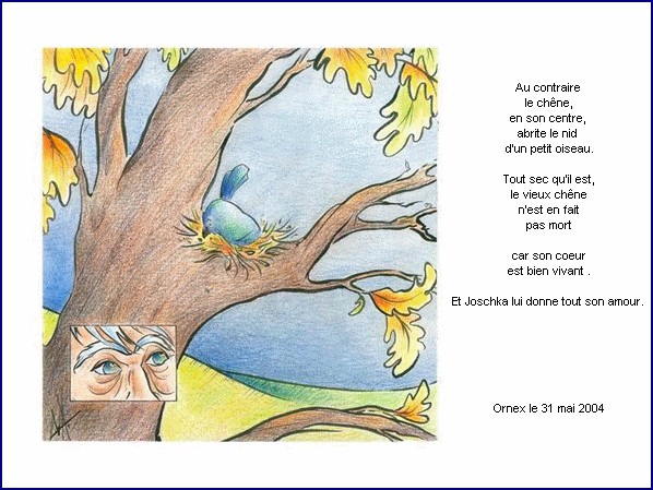 illustration d'un texte de Nicolas Bouchet : Les deux arbres