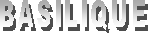 BASILIQUE 