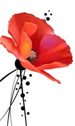 Coquelicot