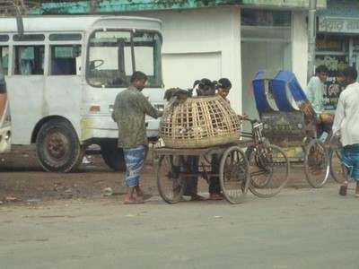 Un rickshaw