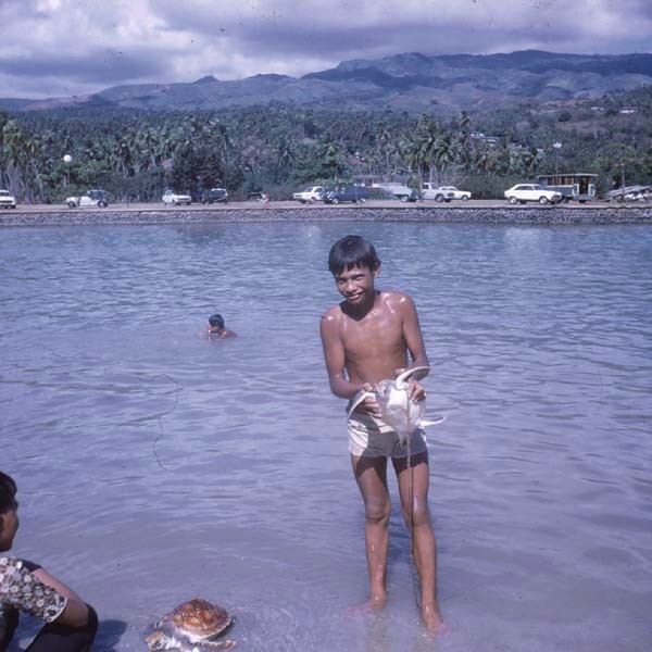 Jeunes tahitiens jouant avec des tortues à la plage de l'hôtel
